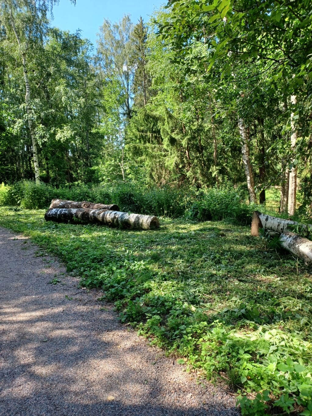 Lahopuutarha kuva 2